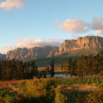 soft evening light on vineyards and mountains