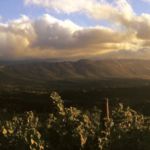 Vineyards, Mountains and Gordons Bay
