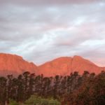 Sometimes golden - now in pink - the Hottentots Holland Mountains