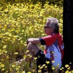 Halfway mark asked for a rest and the field of flowers was so inviting