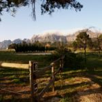 Horses think they are in heaven here 6ha of grazing set aside for horses